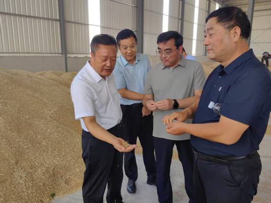 市粮食和储备局到郯城县调研夏粮收购工作